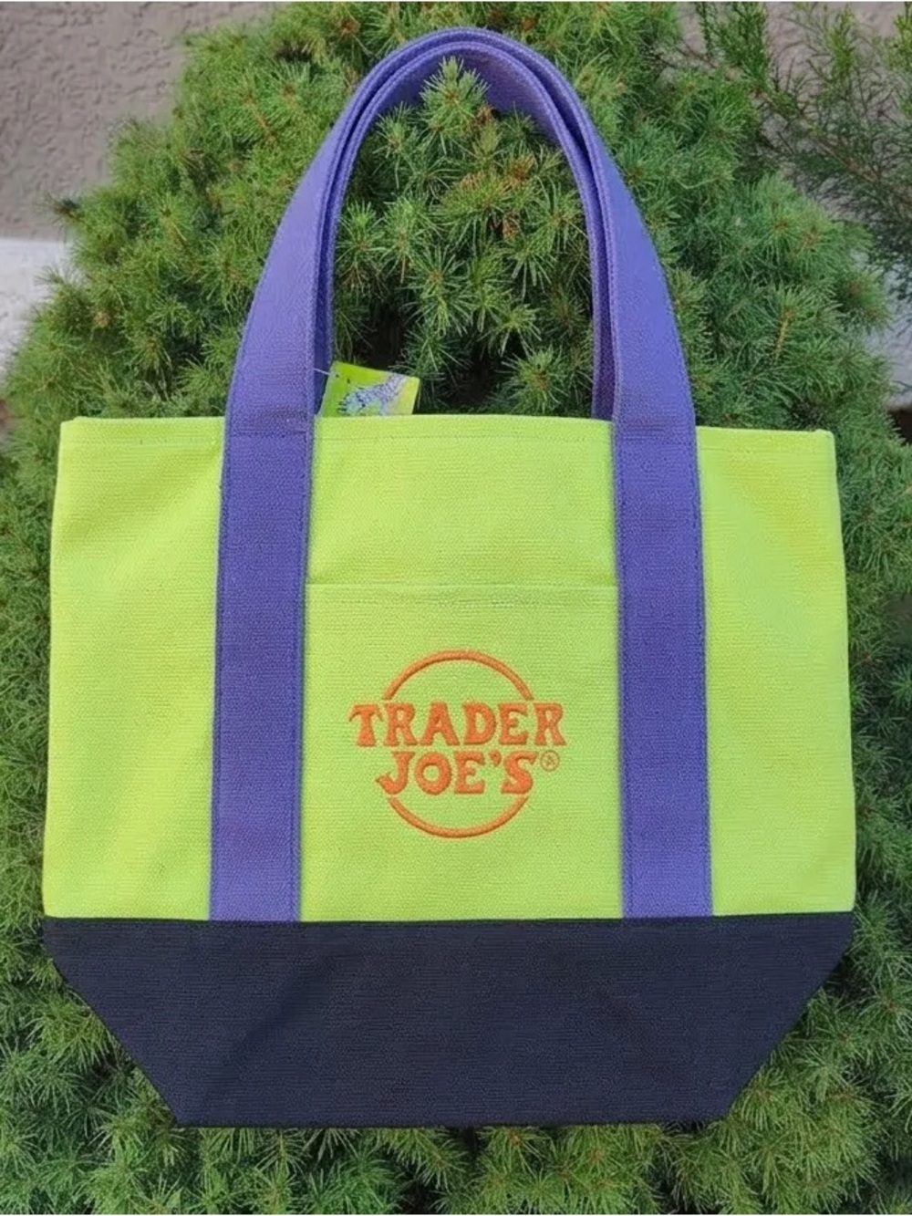Trader Joe’s Lime Green & Purple Halloween Tote Bag